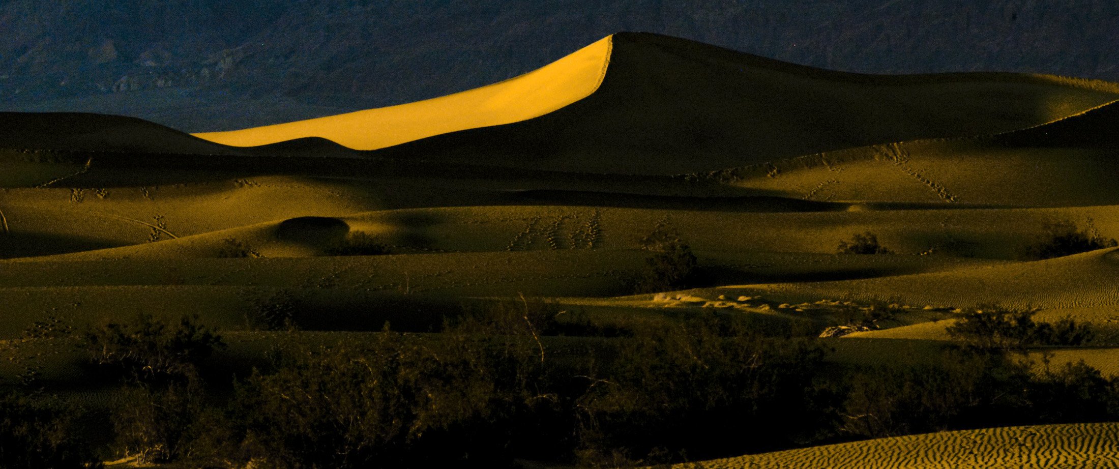  Stovepipe Wells sand dune at sunset, November 16, 2007.(Photo by Roger W. Vargo) 