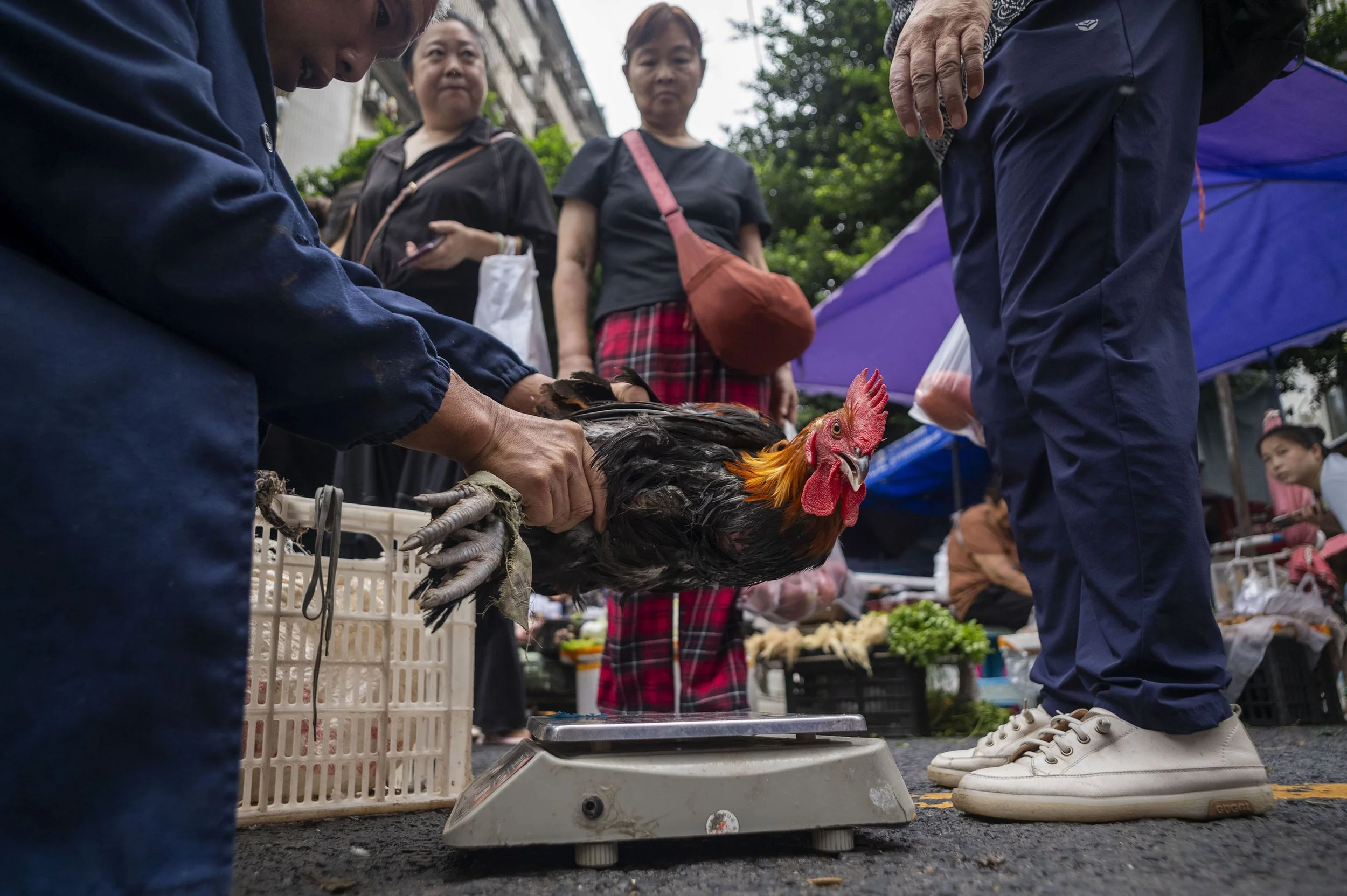 3rd_FEAT_Ringo Chiu - Freelance_02.jpg