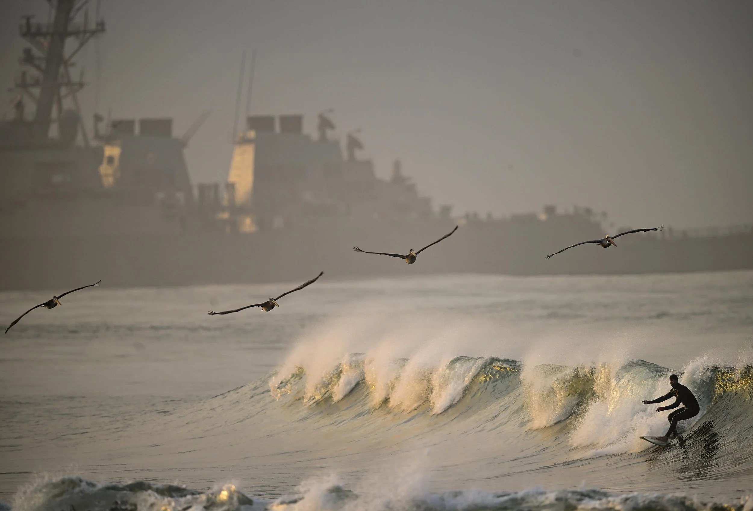 2nd_Pictorial_Dana Rene White - Freelance_01.JPG