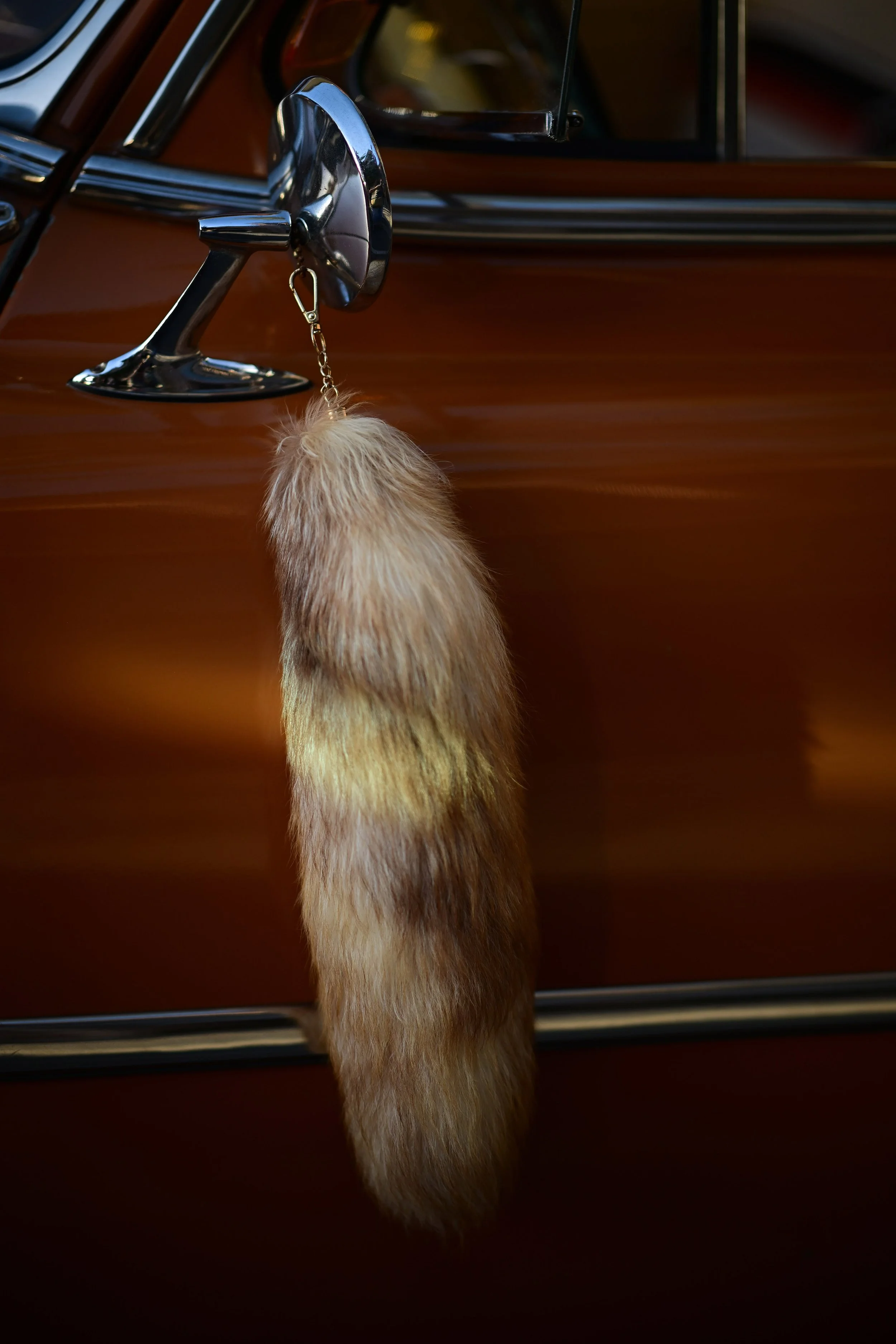 3rd_PicStory_Dana Rene White - Freelance_Cruise Night-009.JPG