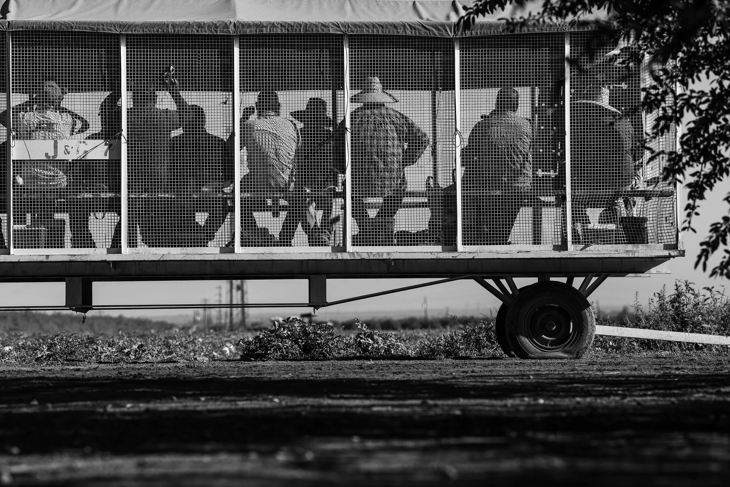 3rd_PHOTOESSAY_Robert Gauthier - Los Angeles Times_Labor Day_05.JPG