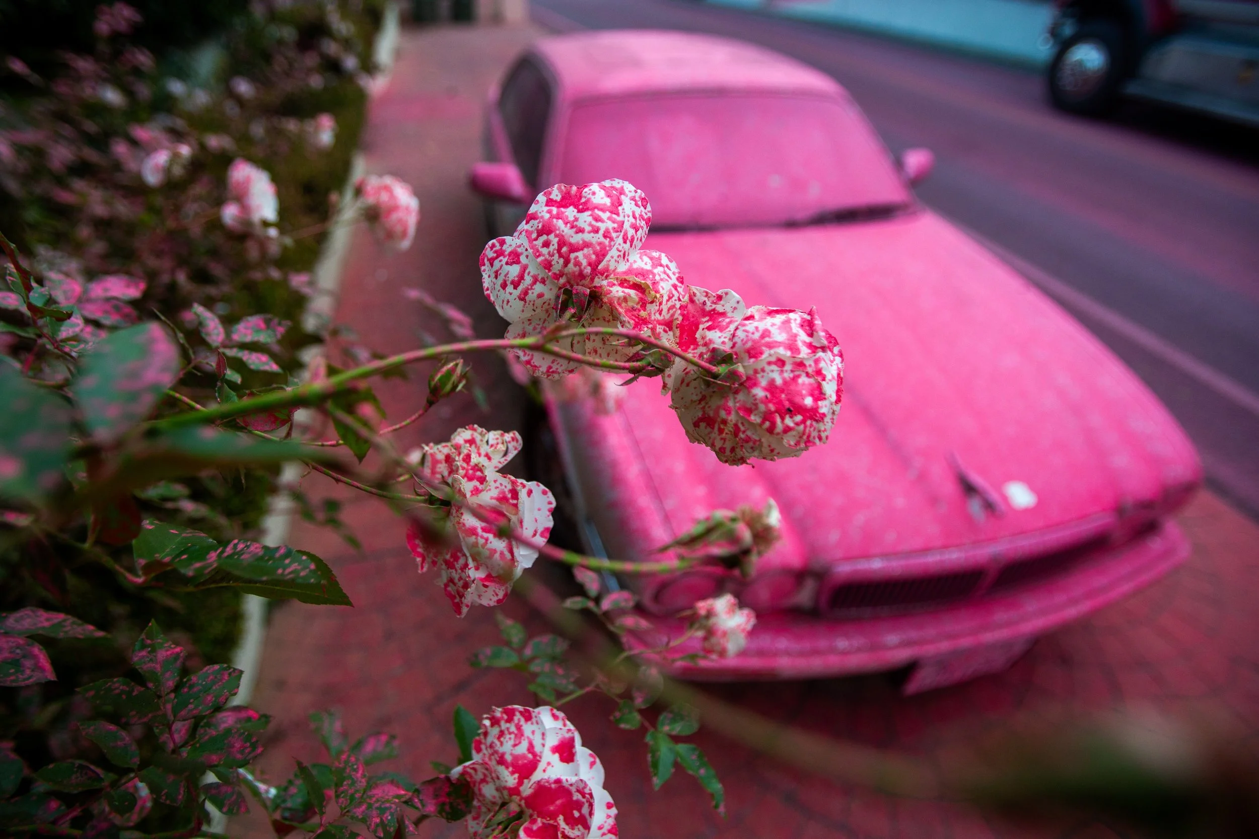 _POY_Ringo Chiu Freelance_03.jpg