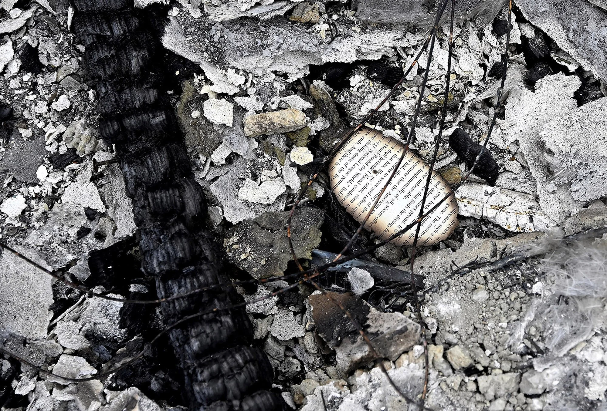 _PICSTORY_Keith Birmingham Pasadena Star News_Eaton Fires_07.JPG