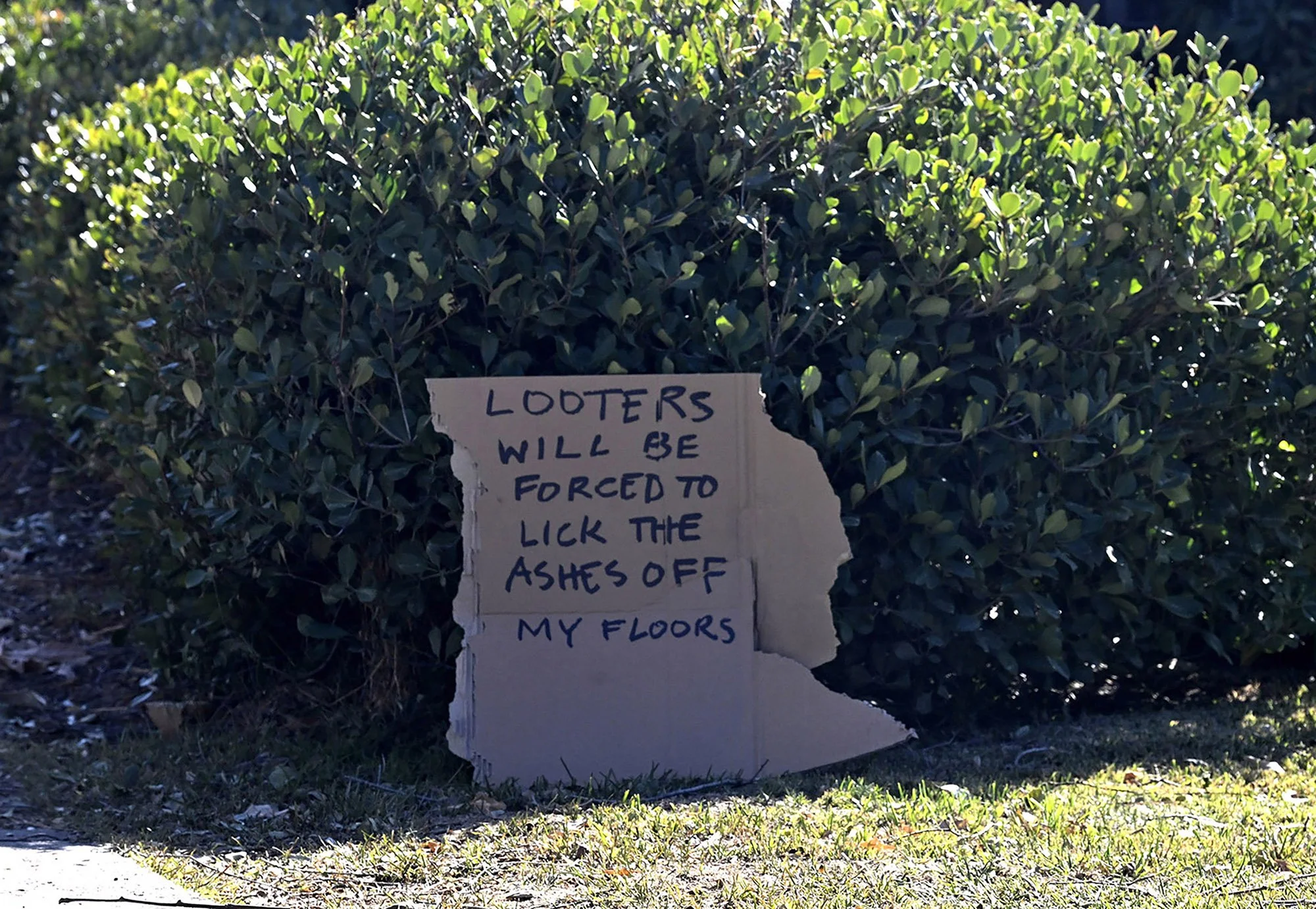 _PICSTORY_Keith Birmingham Pasadena Star News_Eaton Fires_09.JPG