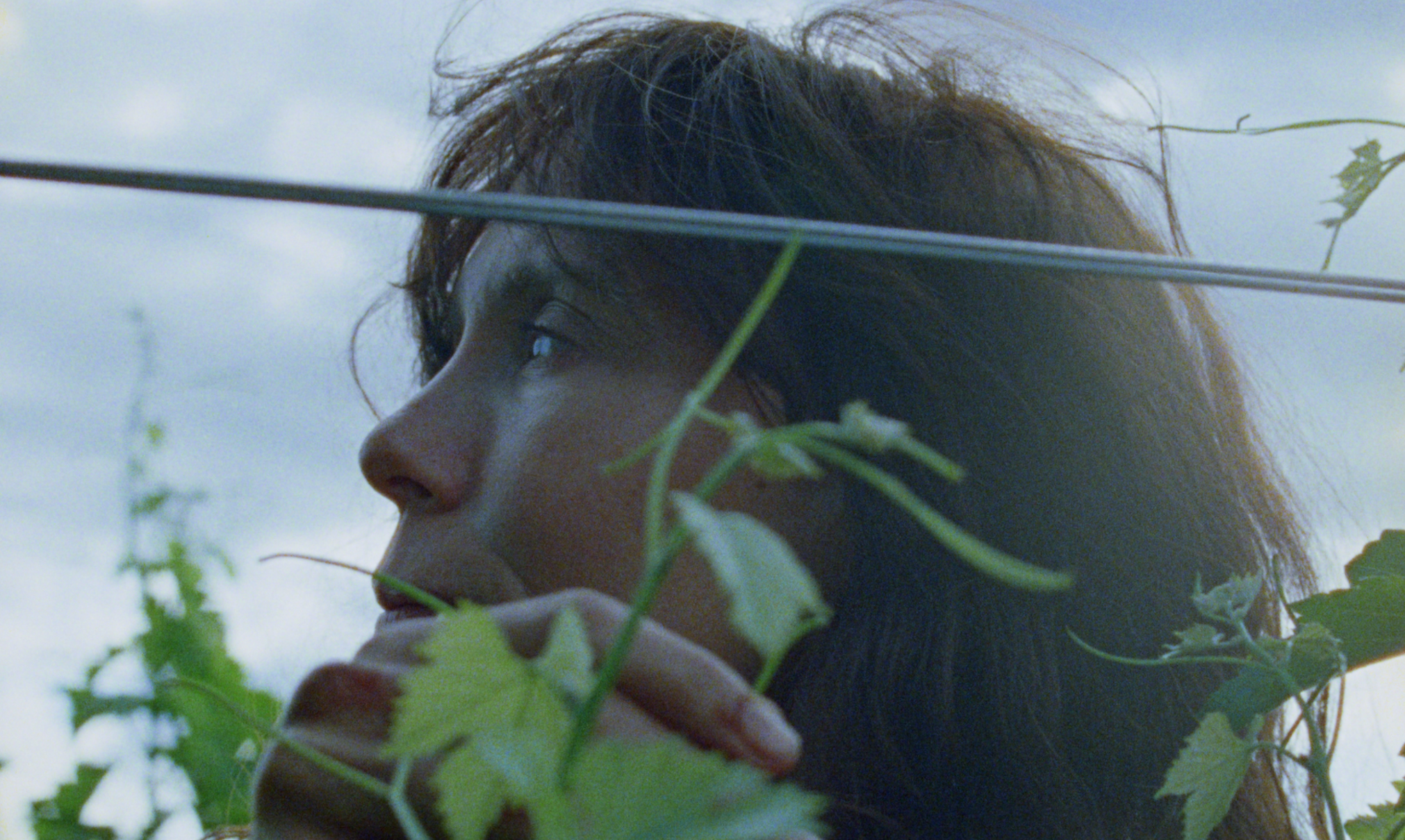 Screen Shot 2024-03-14 at 10.16.27 AM.png