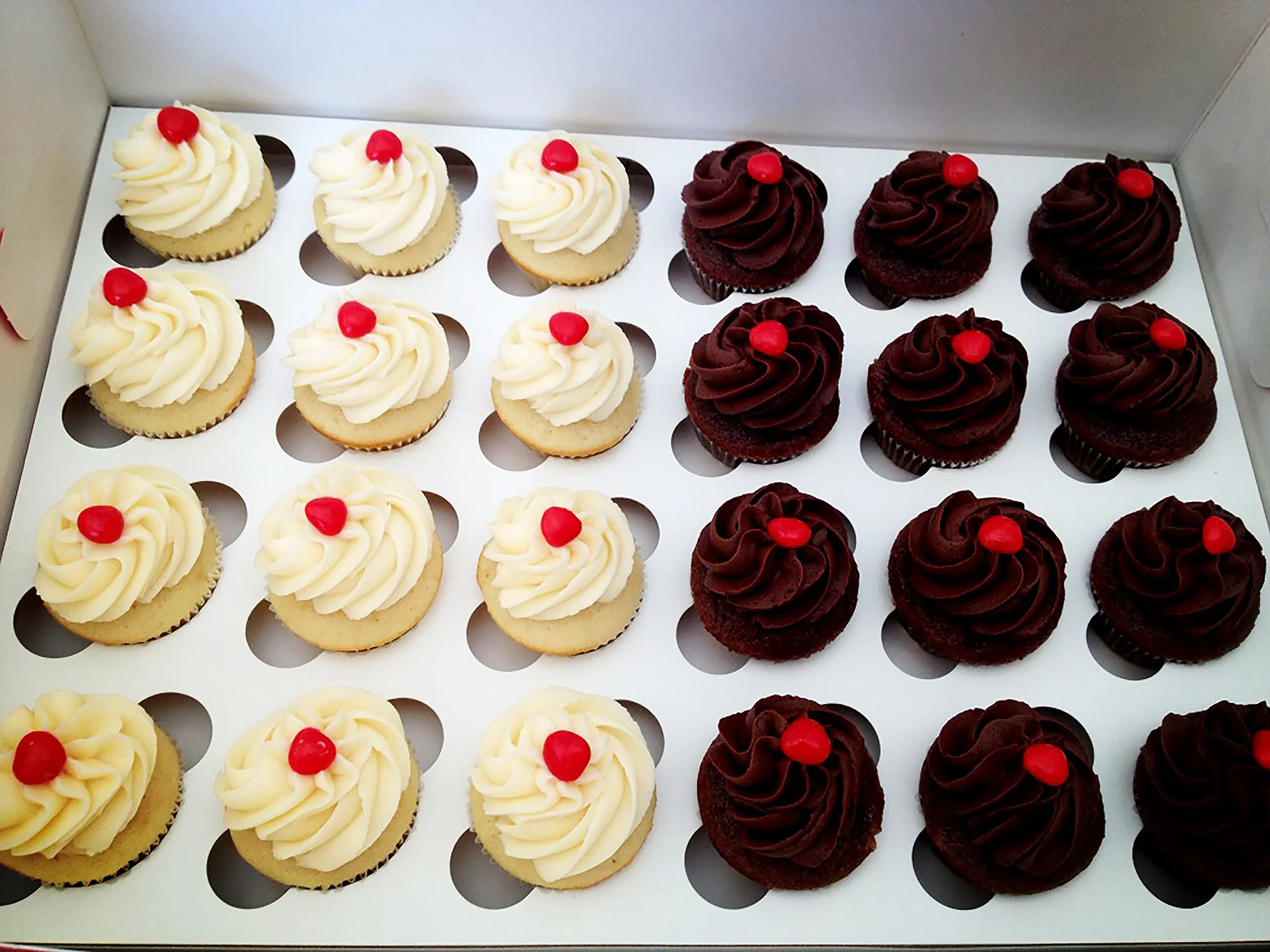 MiniCupcakesChocoVanilla.jpg