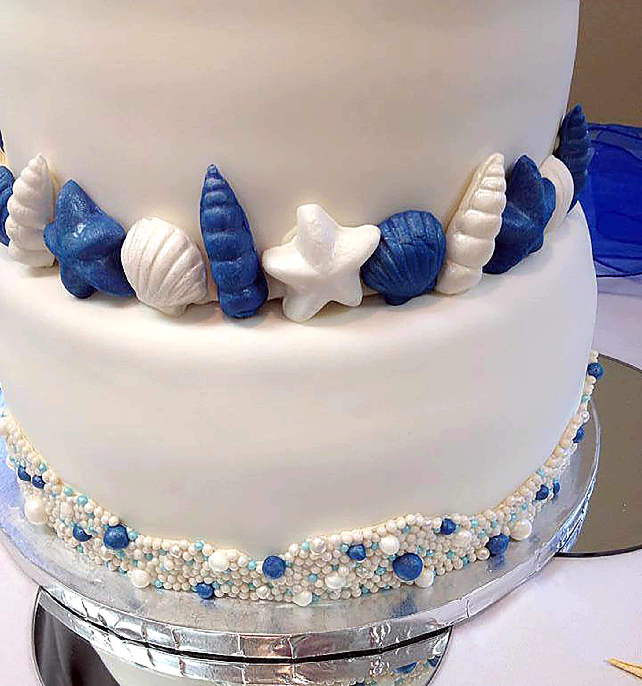 SeashellCake.jpg
