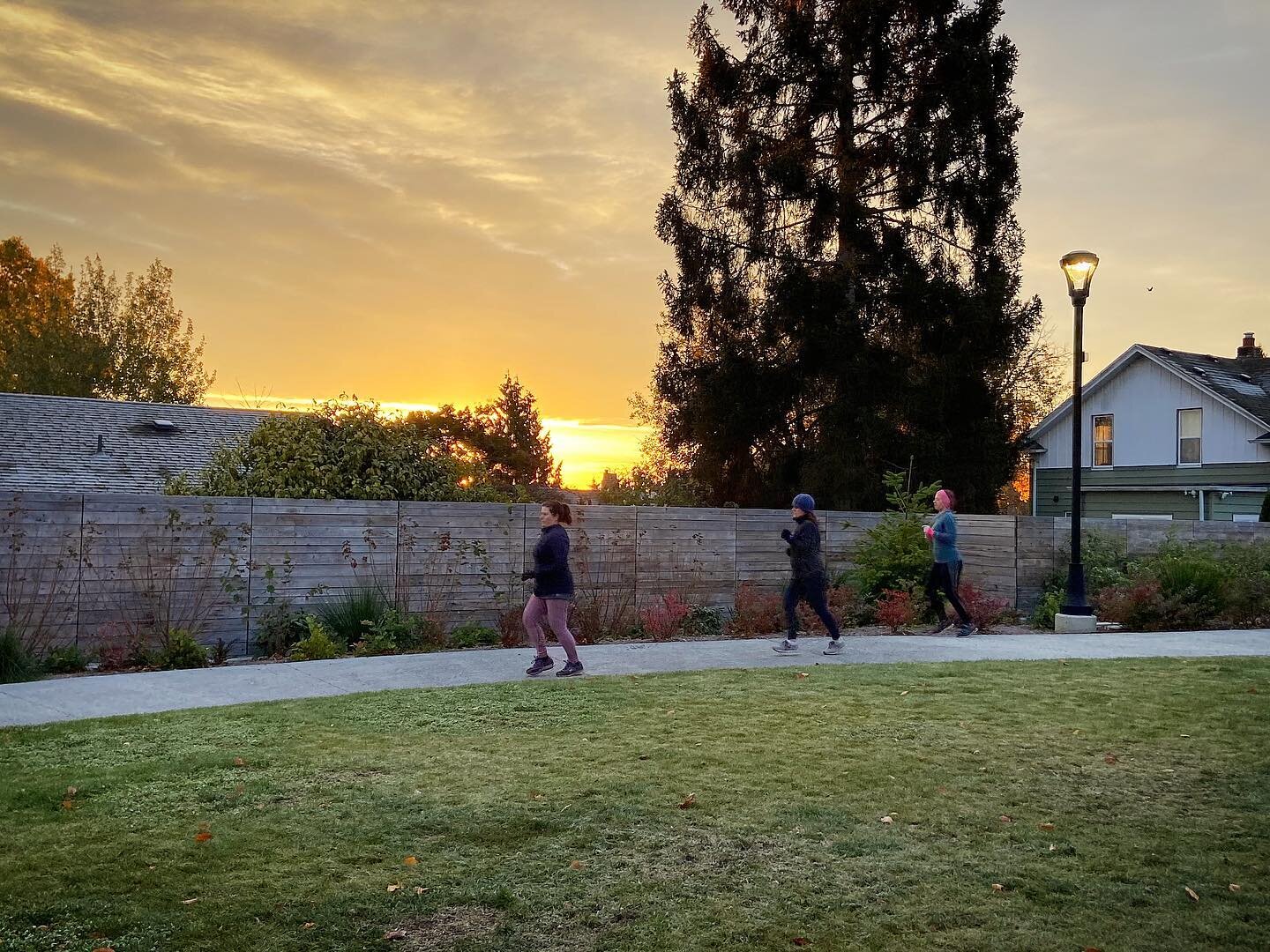 Did your morning look like this? It could have!!! #phinneyridge #bootcamp #outdoorfitness #moveyourbody