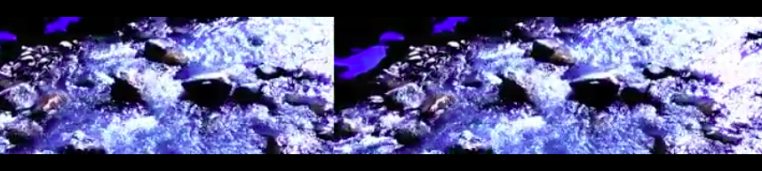 Screen Shot 2015-12-29 at 8.29.08 AM.png