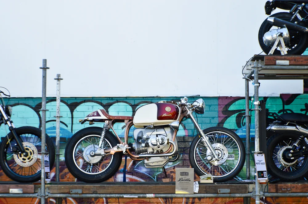 Lucille(1000PX).jpg