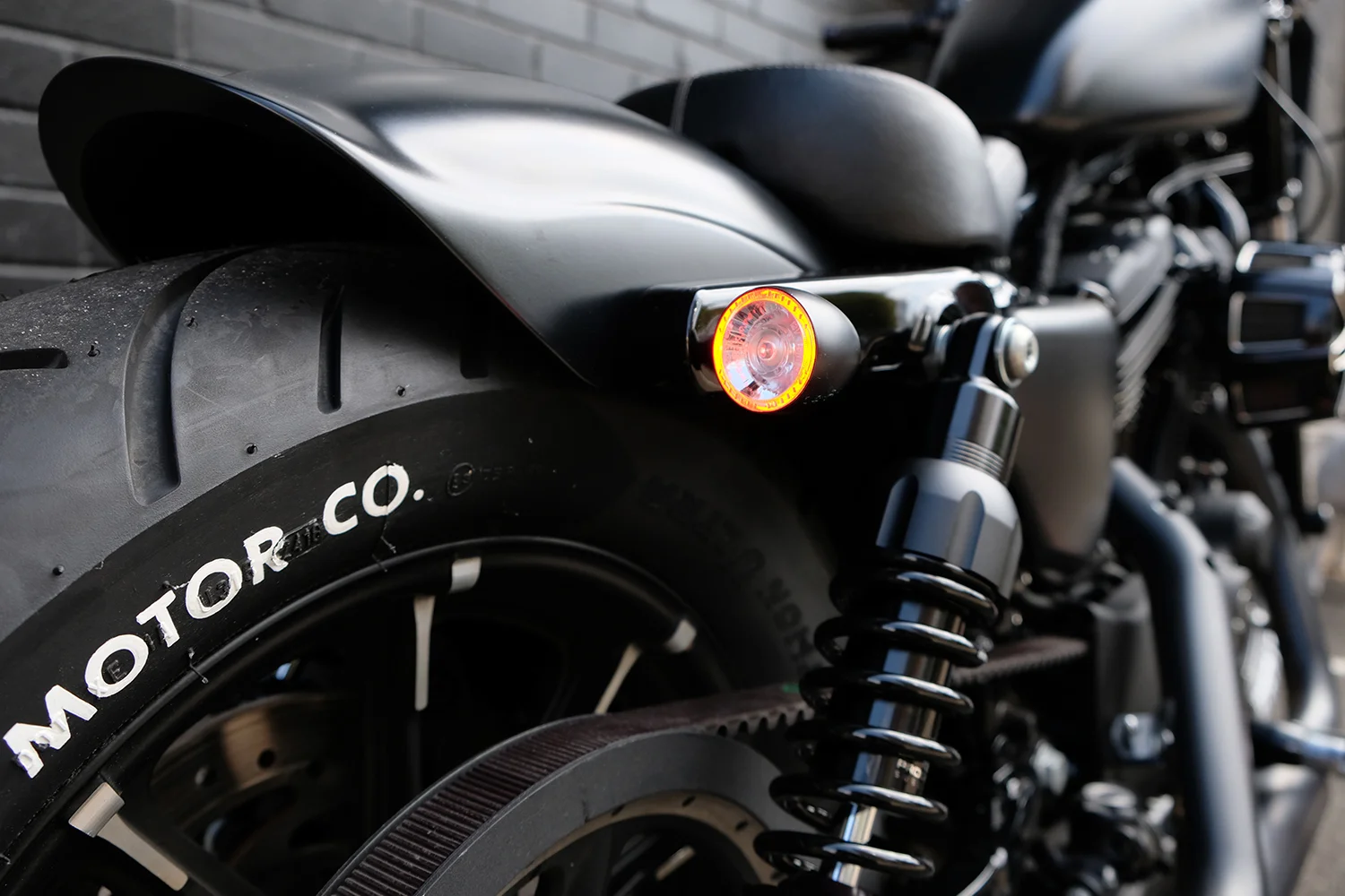 iron883__0006_DSCF1287.jpg
