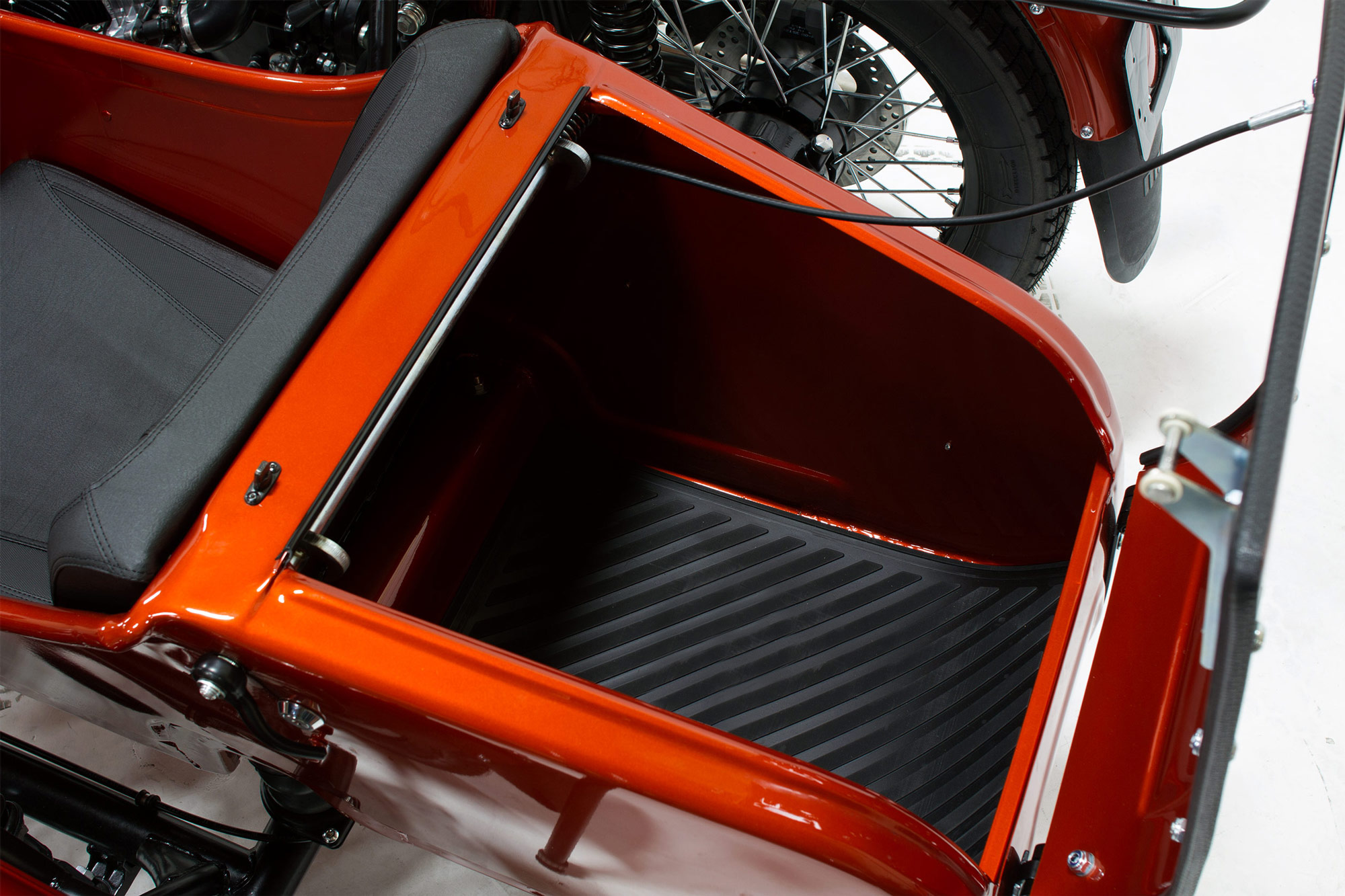AUS-cT-trunk.jpg