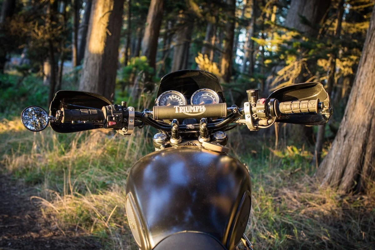 Triumph_Scrambler_Piranha_Flyscreen_Windshield_back_shot_woods_2048x2048.jpg