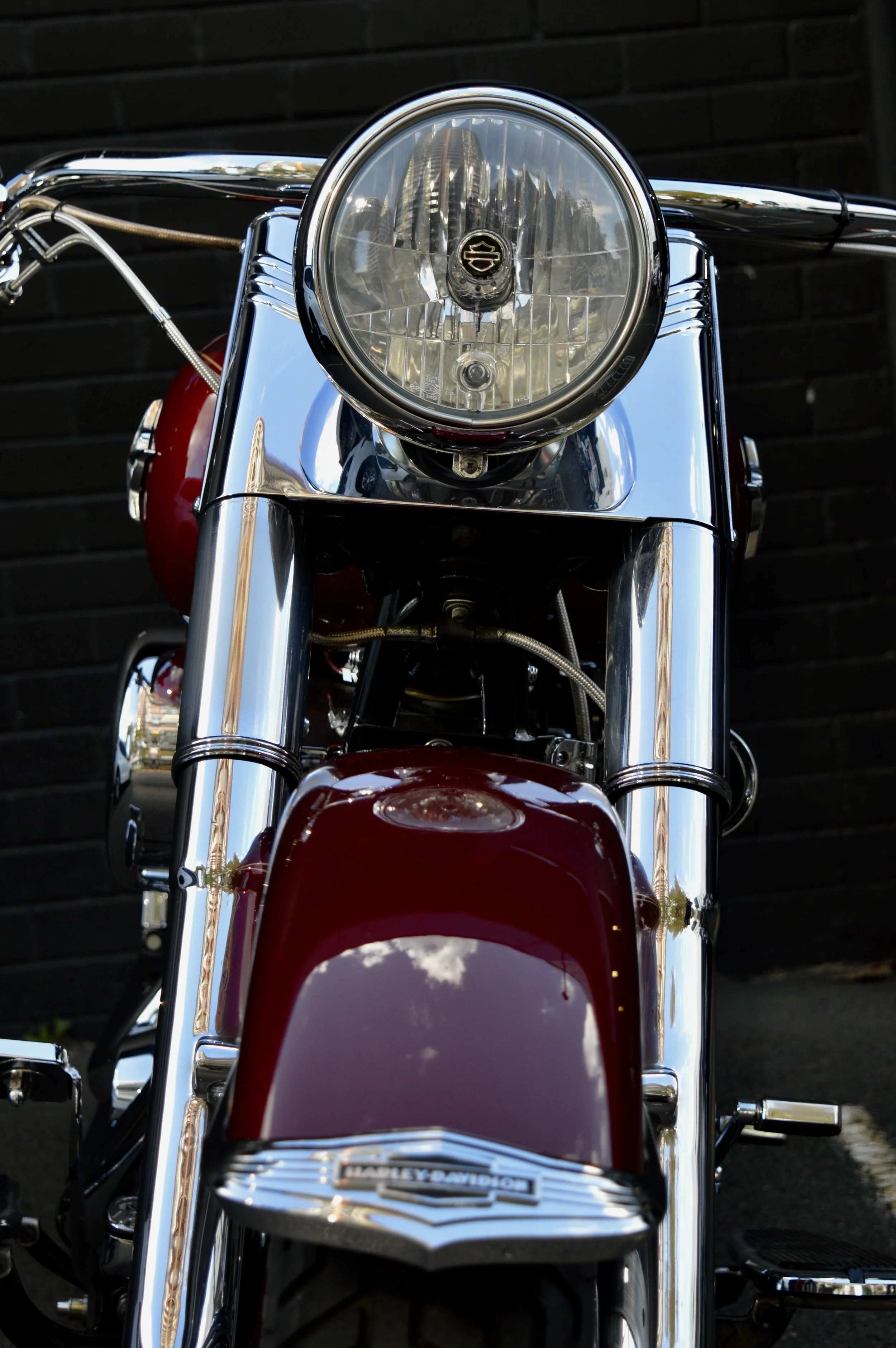 DSC_0246.JPG