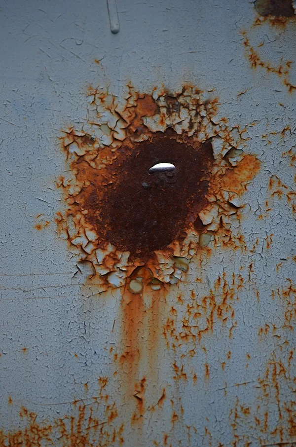Burning Sunflower