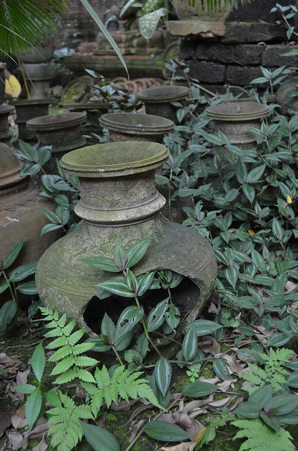 Earthy Pot