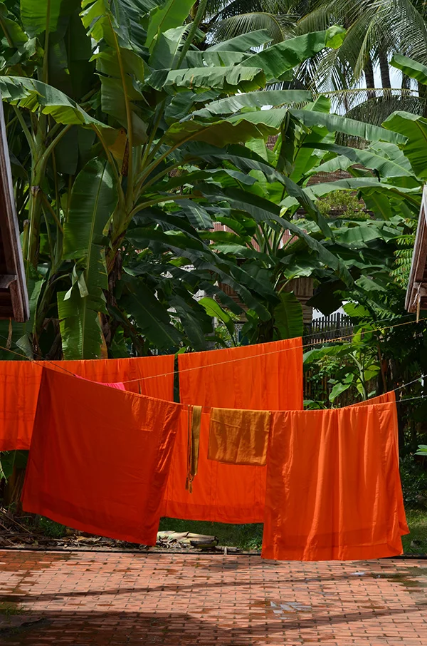 Monk's Laundry