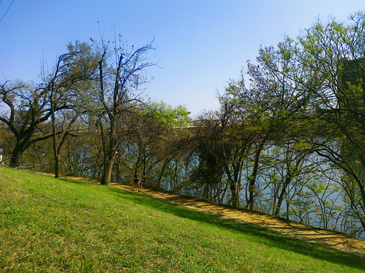 Enjoying a little break by Lady Bird Lake .