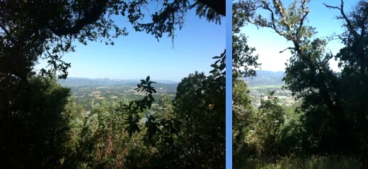 fitchmtn.jpg