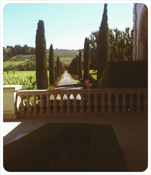 winery-landscape.jpg