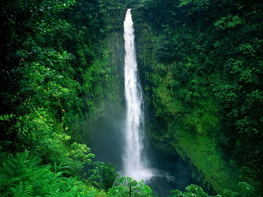 Akaka_Falls_Big_Island_Hawaii.jpeg