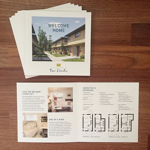 Marketing brochures + floorplans for multiple properties ✔️