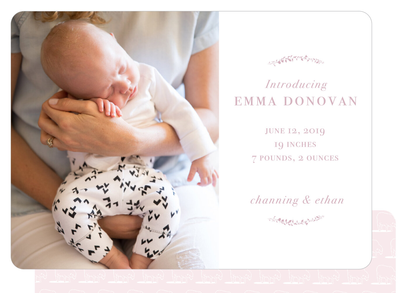 LittleLamb_pink_2.jpg