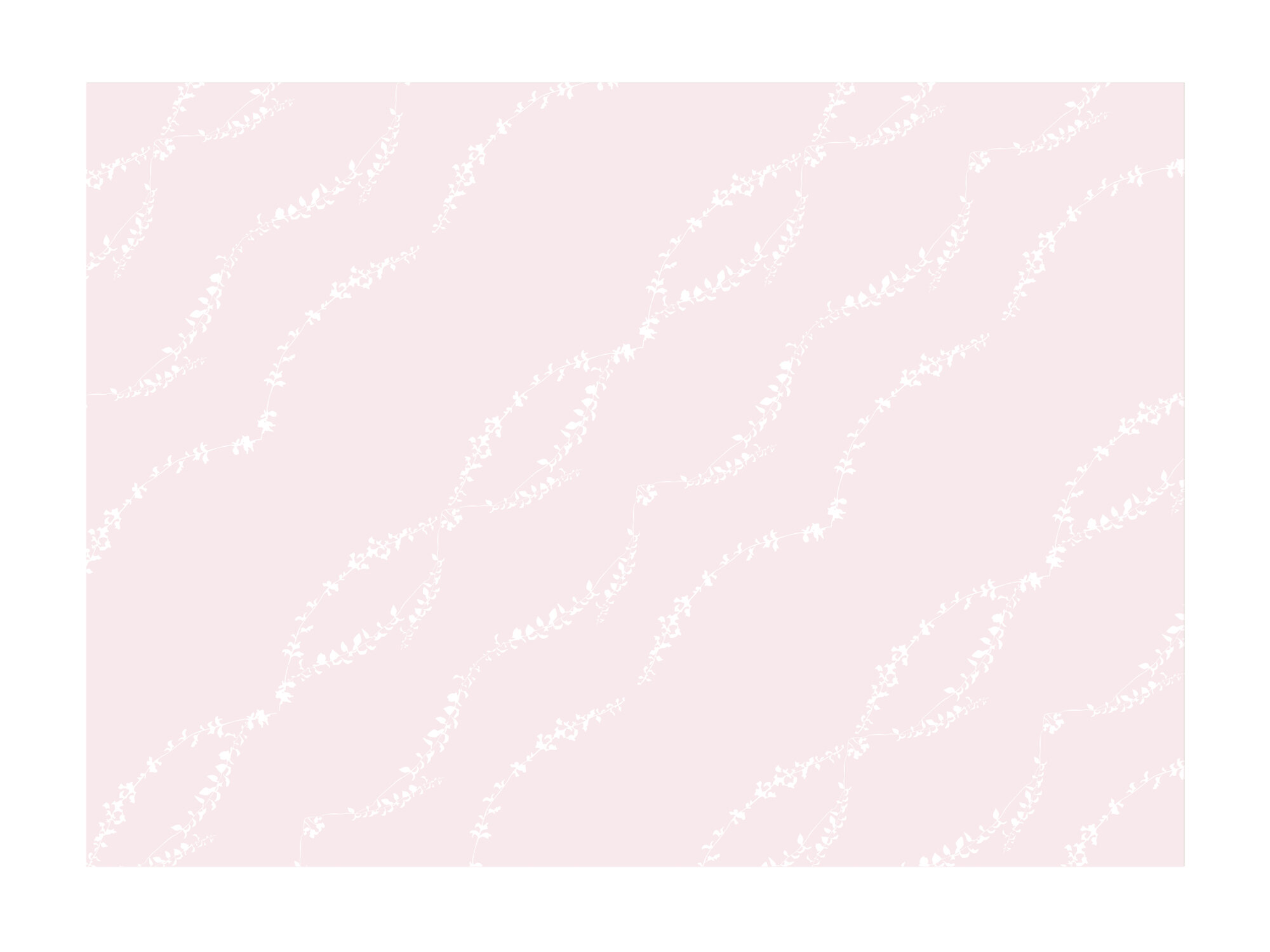 Welcome_pink_back.jpg
