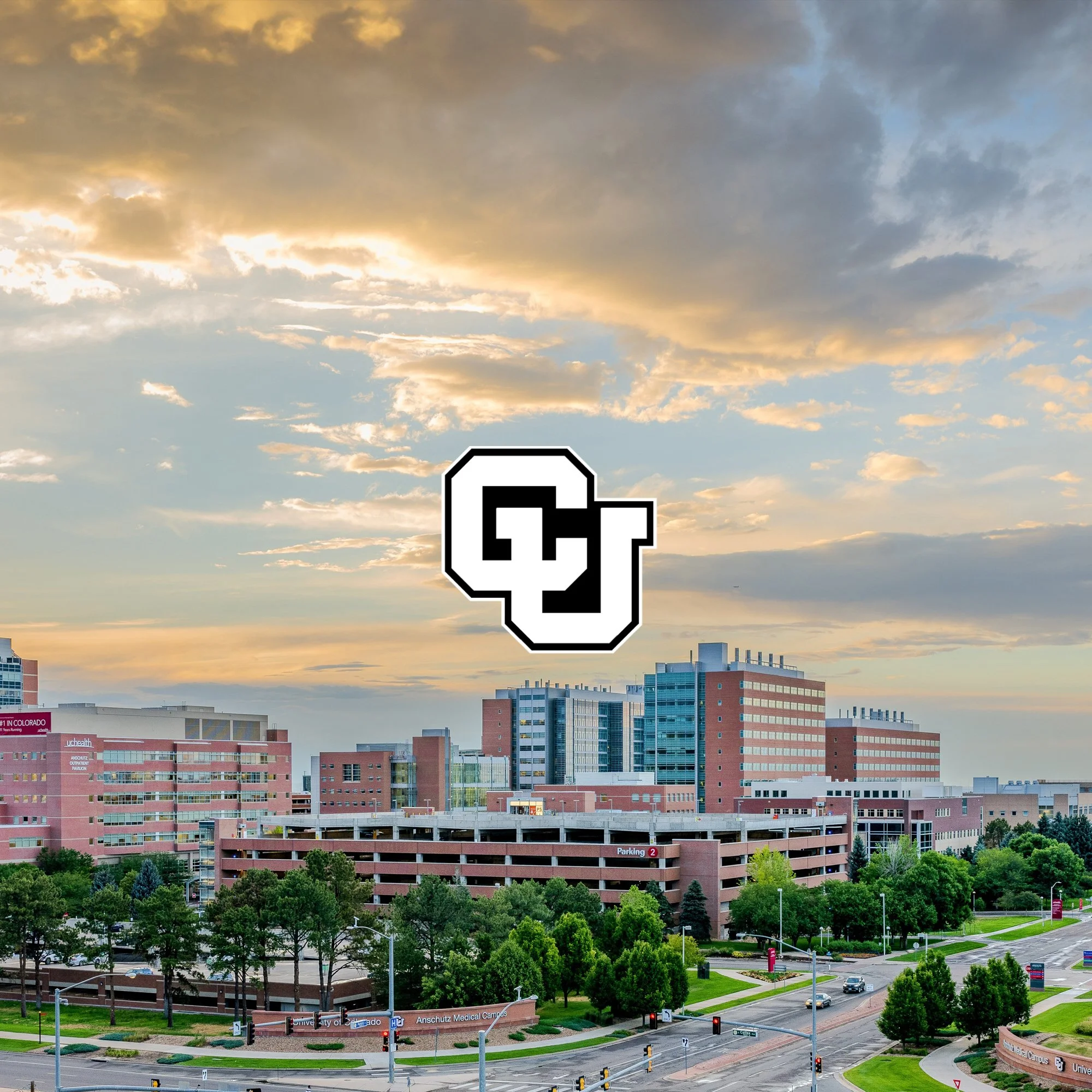 WebsitePortfolio_CUAnchutzCover.jpg