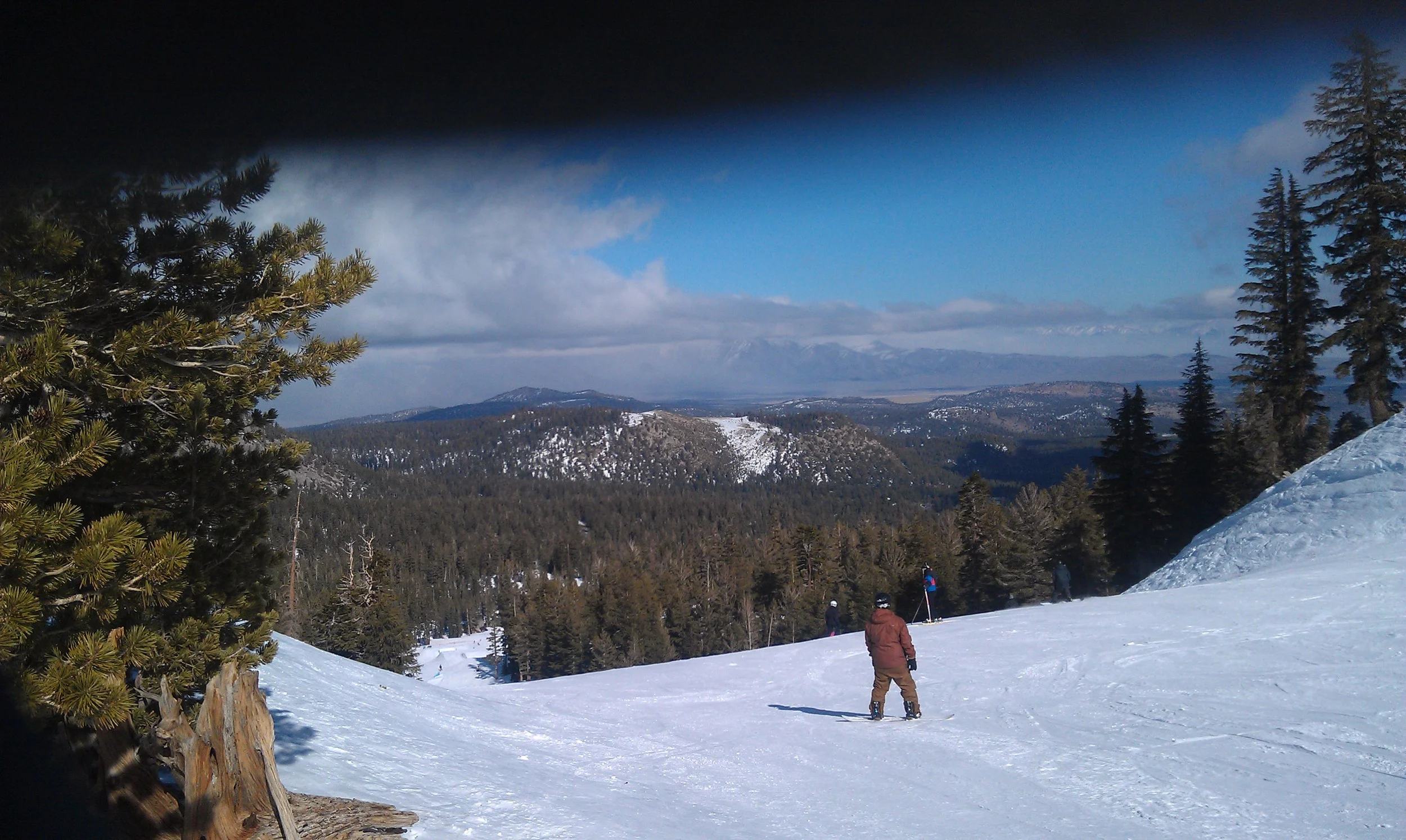 Mammoth