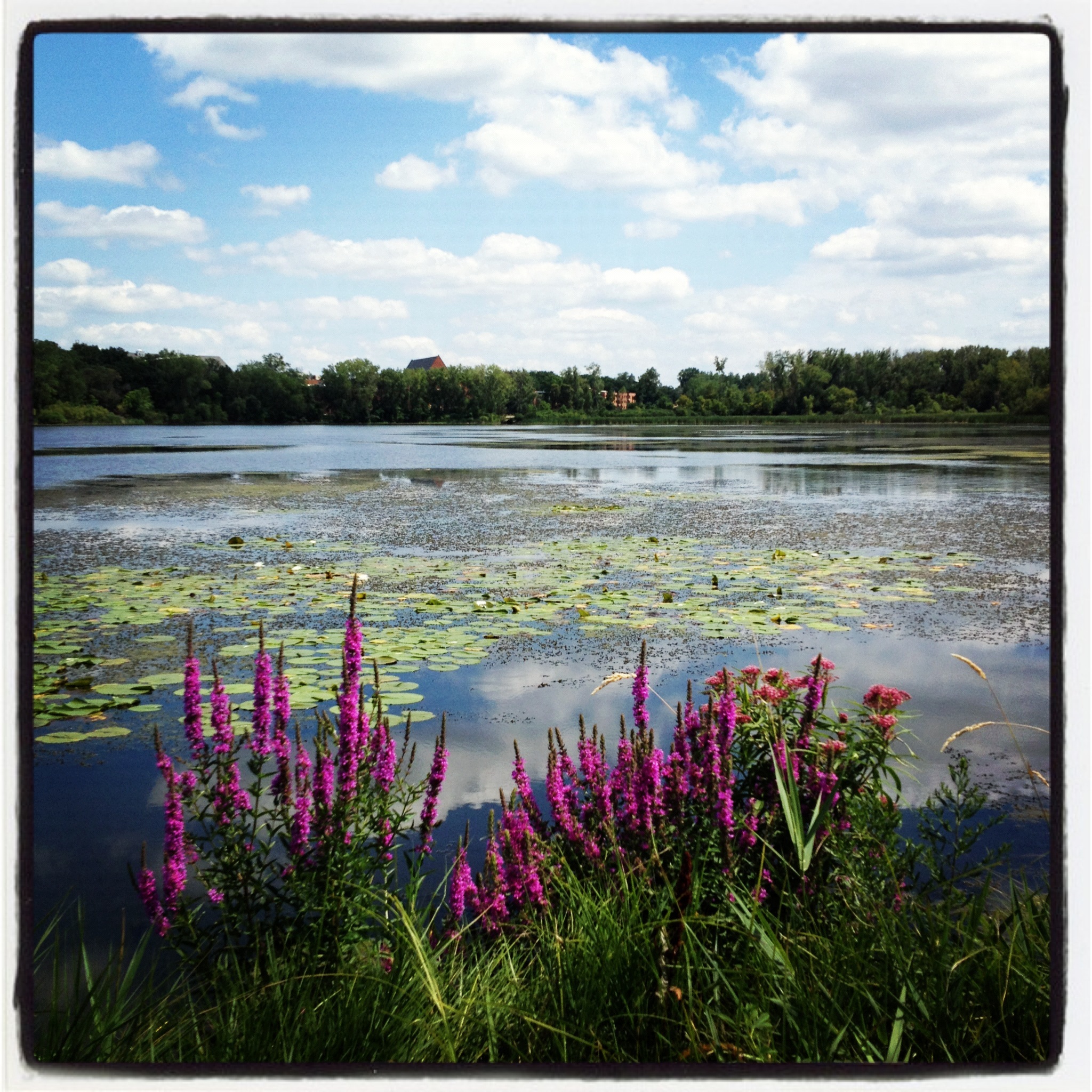 Arden Hills, Minnesota