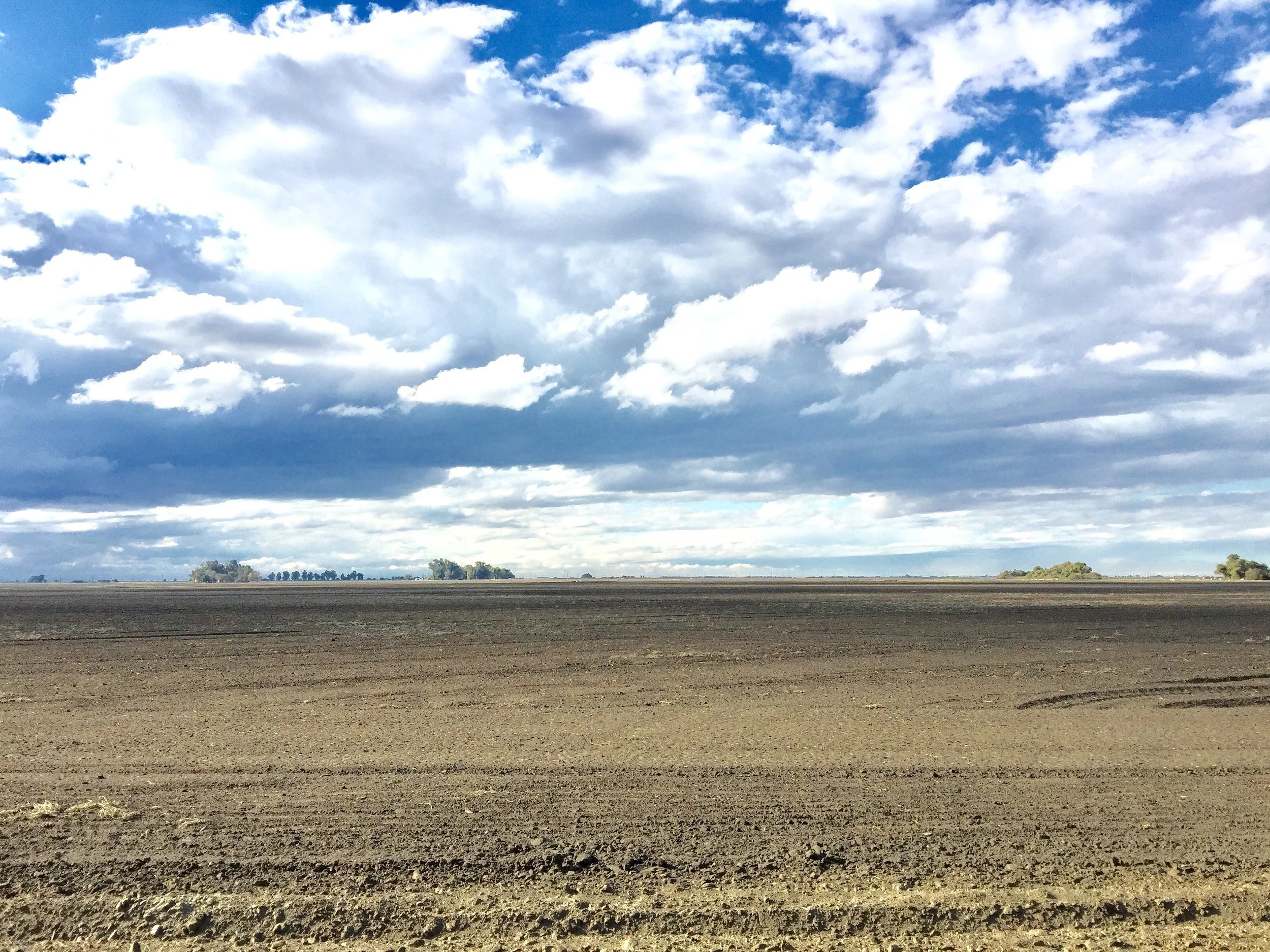 Lemoore, California