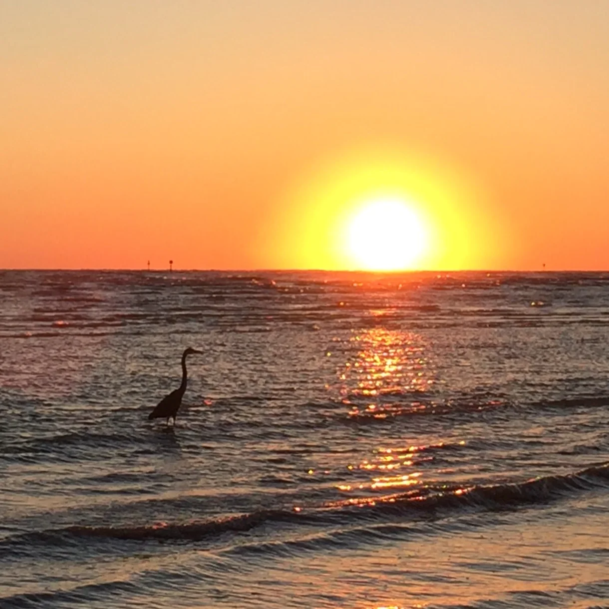 Dunedin, Florida