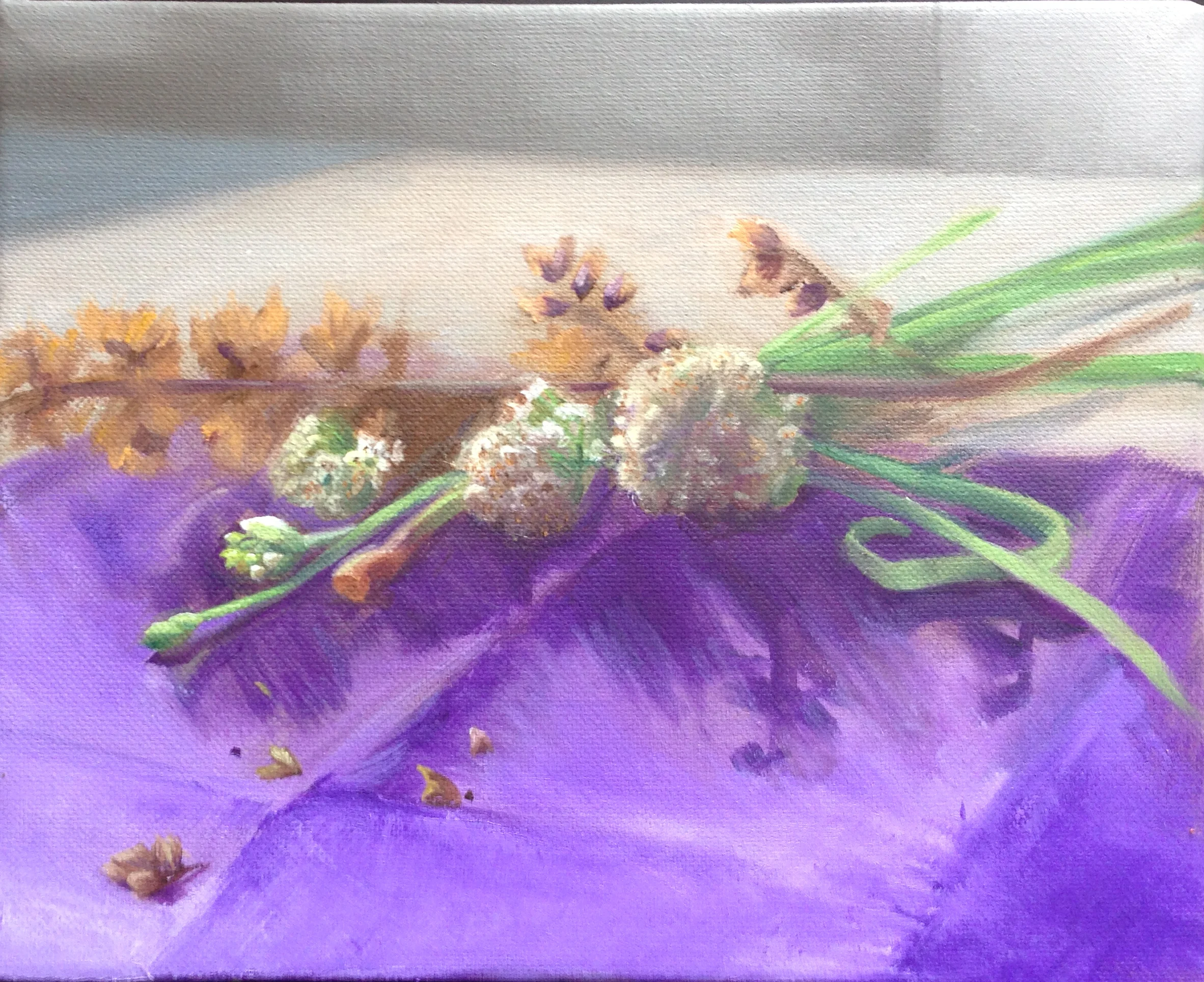 Shallots from a NYC garden