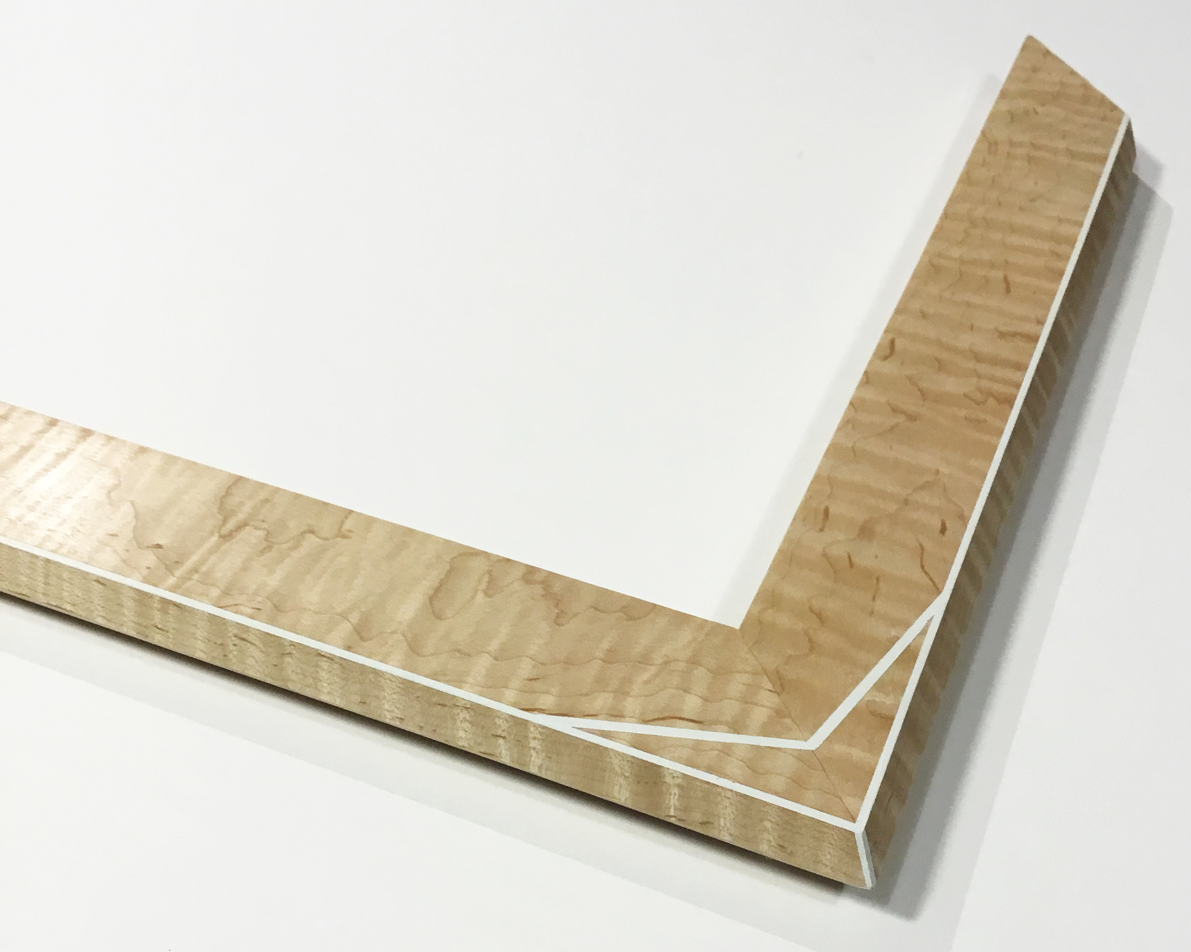 ALBUS A10 2" curly maple with white pin stripe