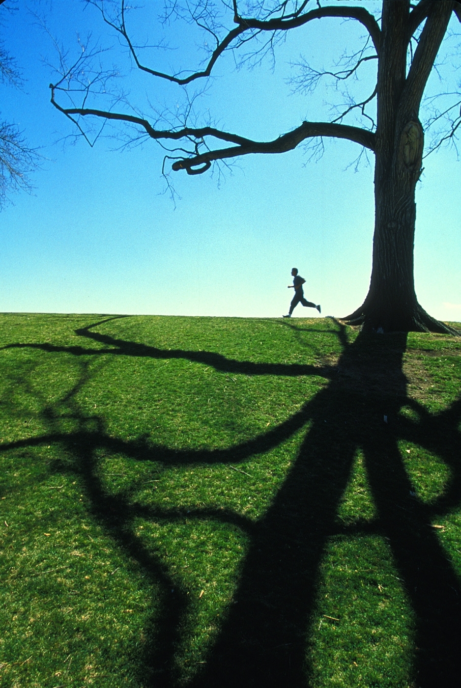Shadow Runner