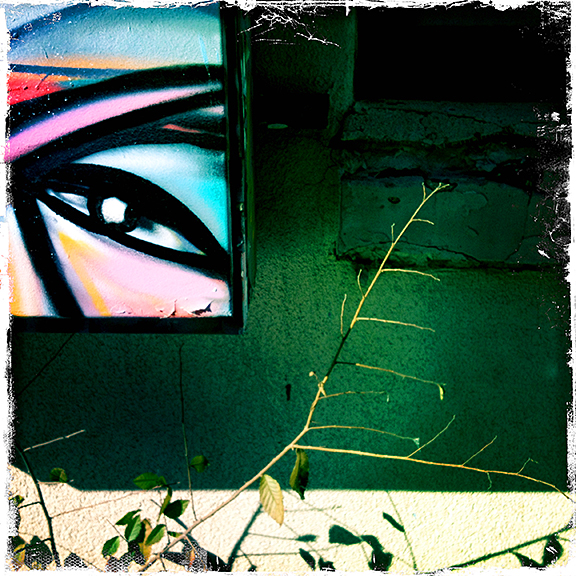 V2Eye.jpg