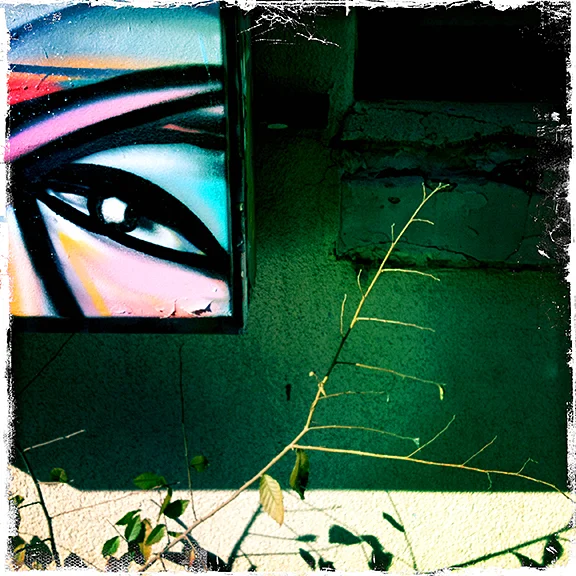 V2Eye.jpg