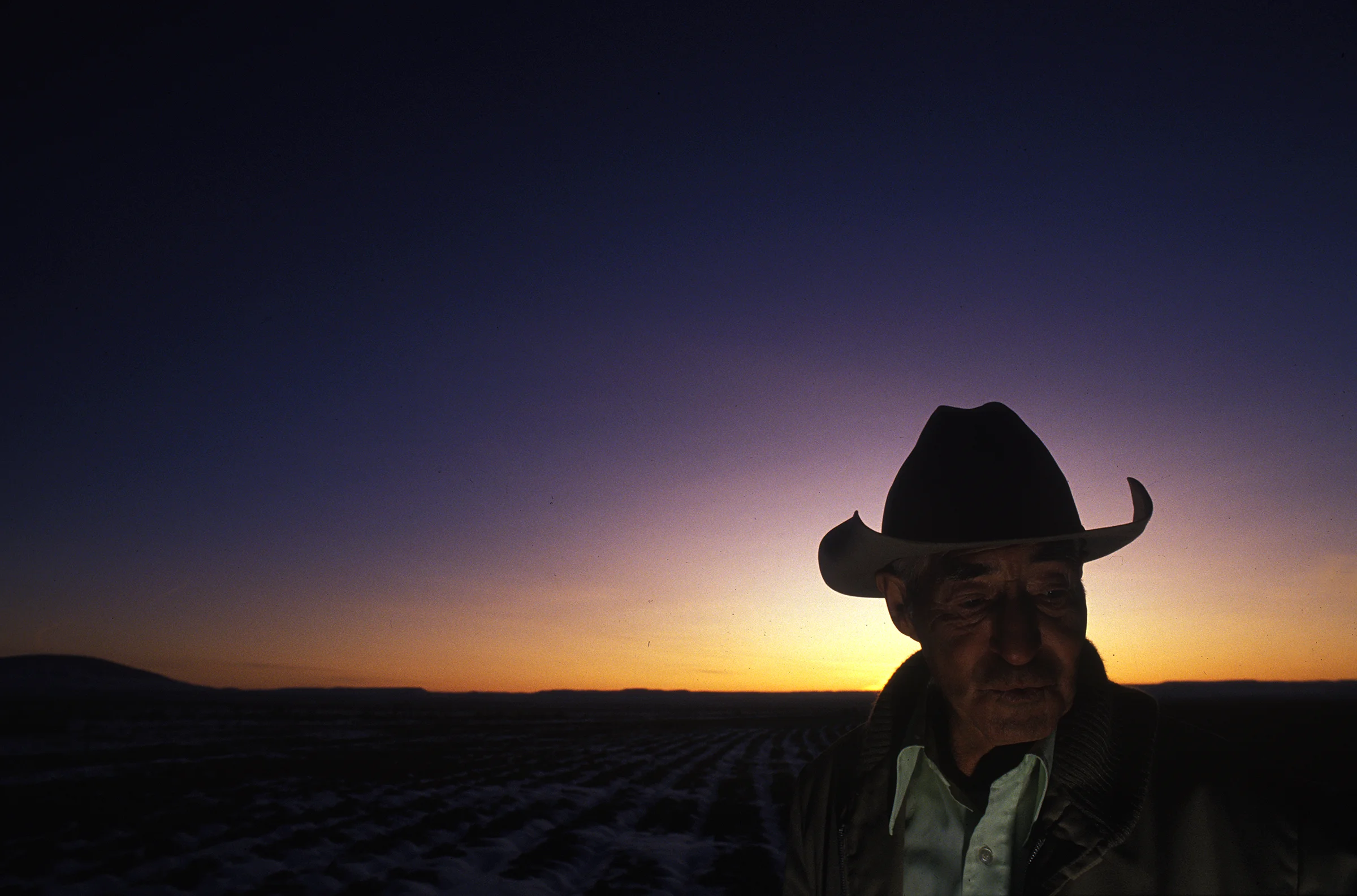 READY SunsetCowboy.jpg