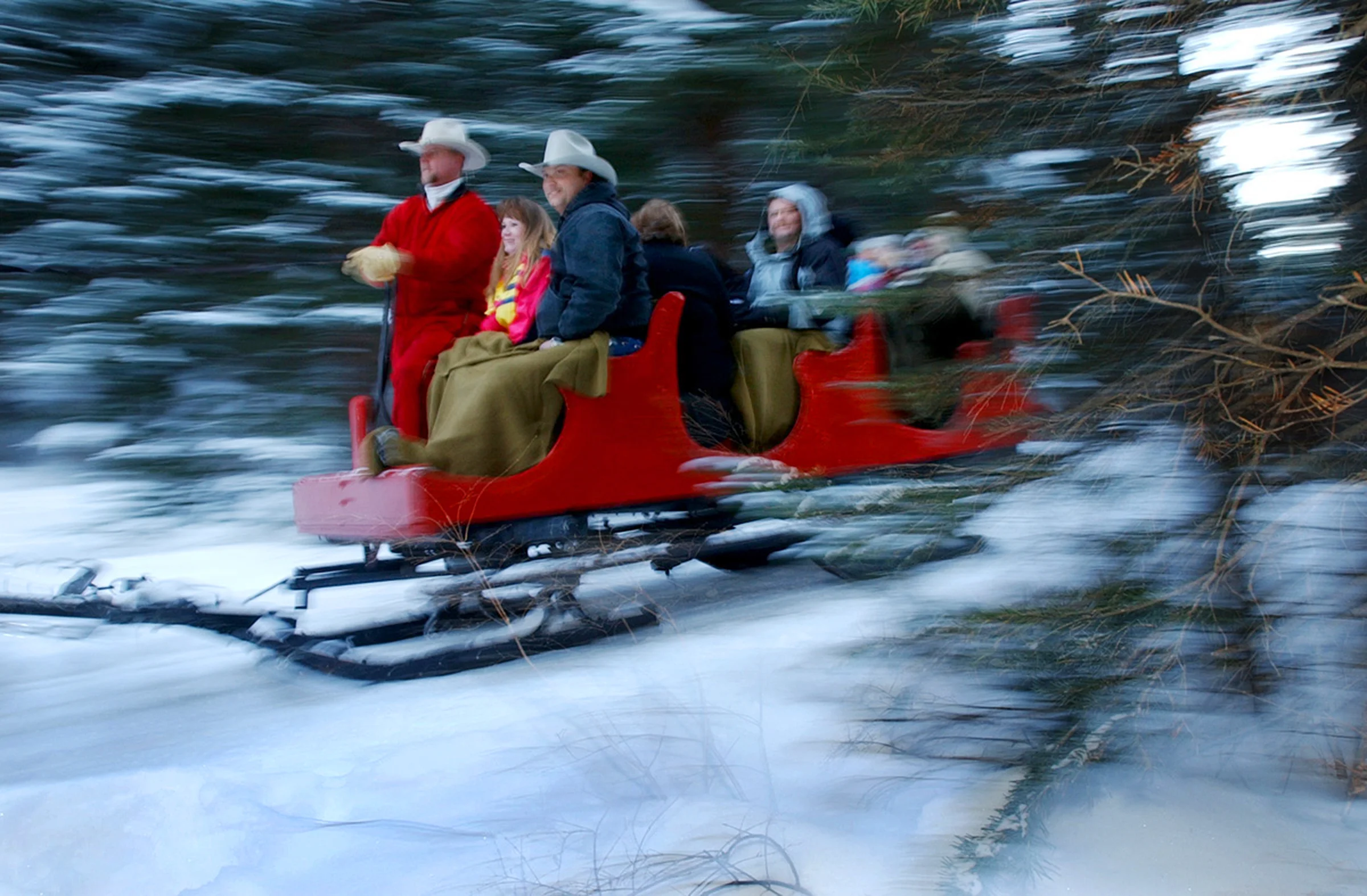 REDAY Sleigh.jpg