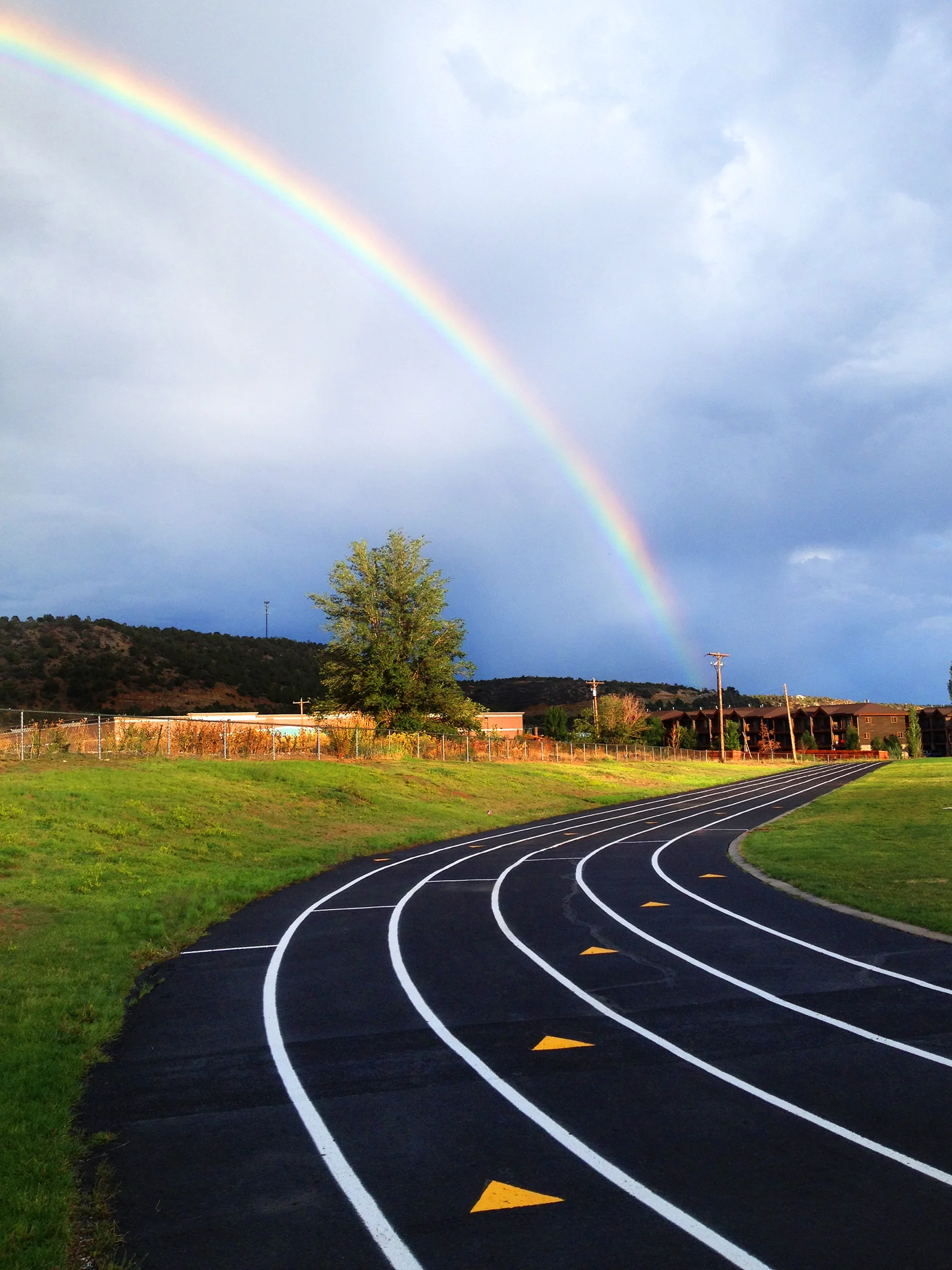 READY RainboTrack.jpg