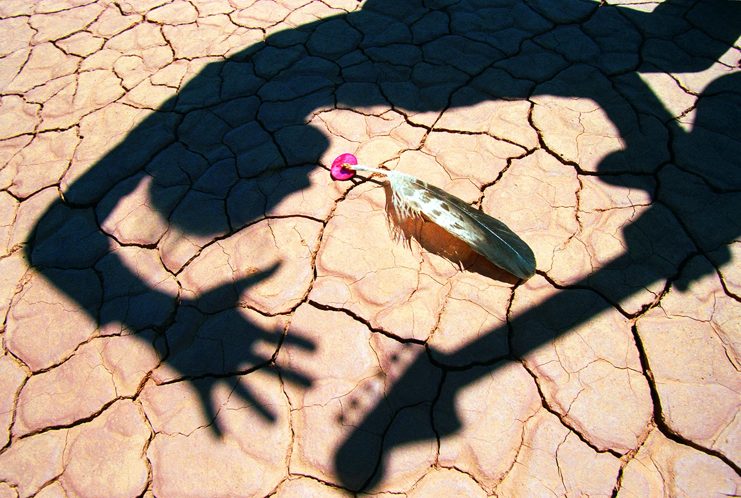 BlackFireFeather SqSpace.jpg