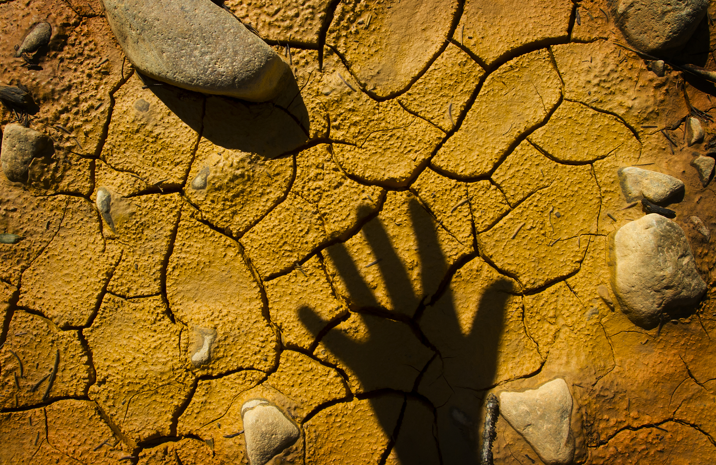 514640 SilvertonOpposition2 copy.jpg