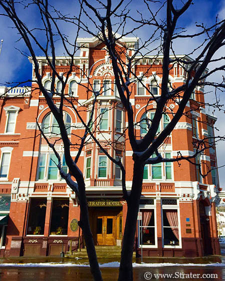 IG_012016_SH_Tree.jpg