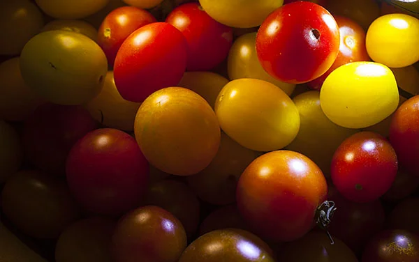 MG_Tomato1.jpg
