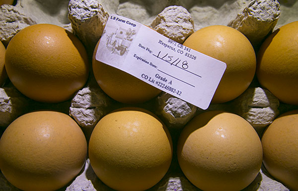 MG_Eggs_SM_ss.jpg