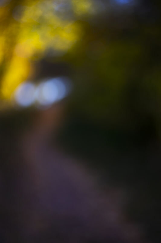 SM_FallColors_Path copy.jpg