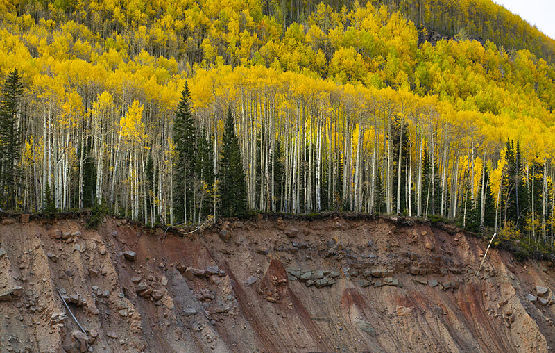 SM_FallColors_Rocks1 copy.jpg
