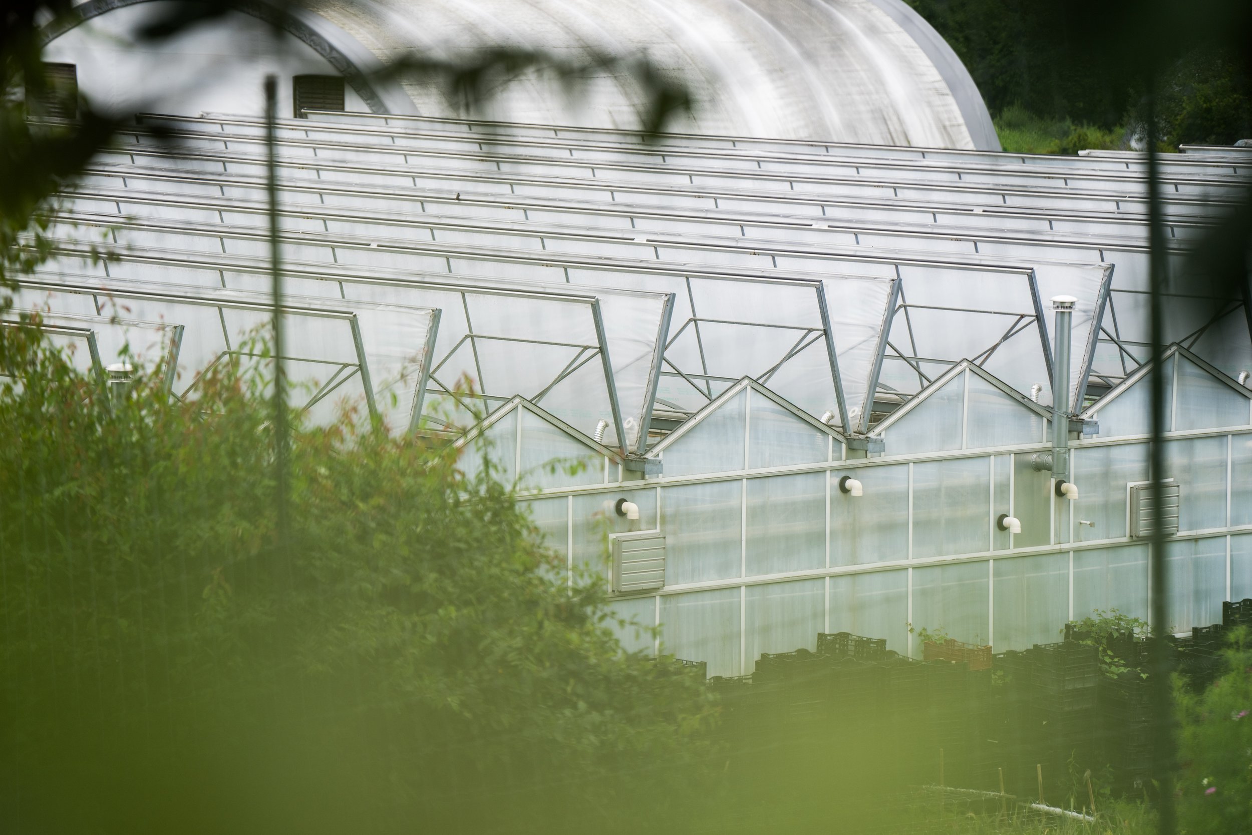 20230716-_DSC7187.jpg