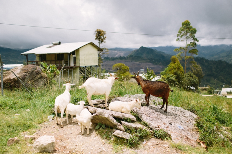 porgera-papua-new-guinea-052.jpg